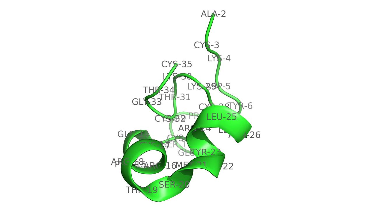 Hui1, a K+ channel selective toxin ligand from Designer Toxin library.