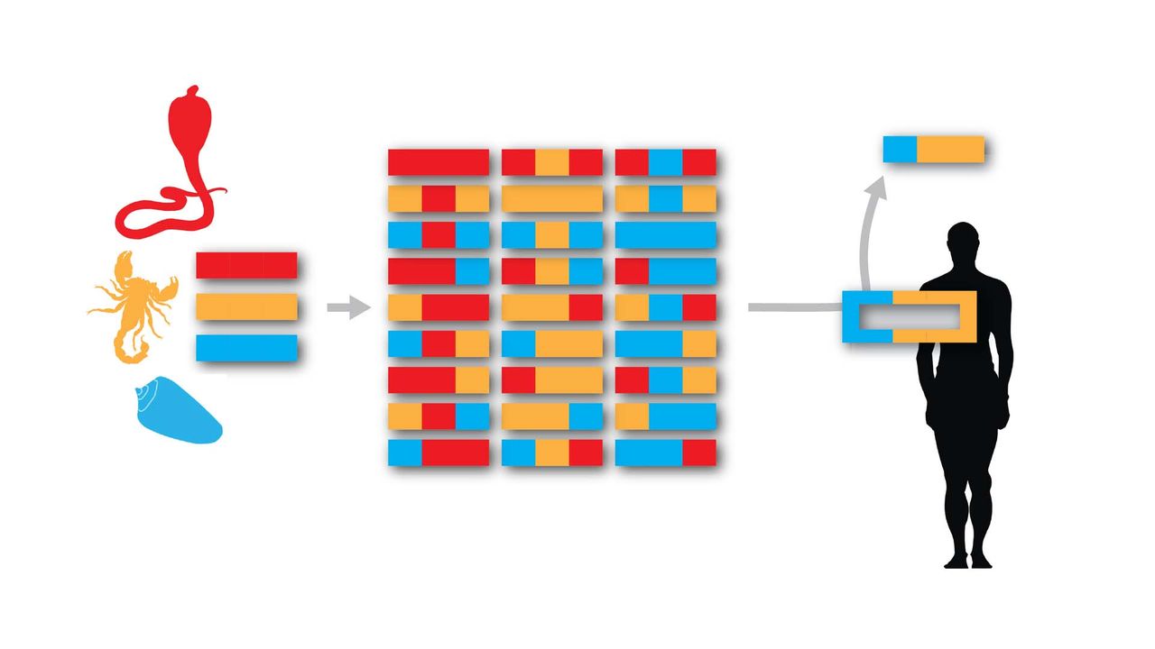 Venom Drug Discovery Designer Toxins Platform Diagram