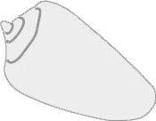 Vector Icon
