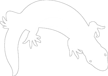 Vector Icon
