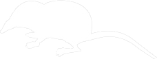 Vector Icon